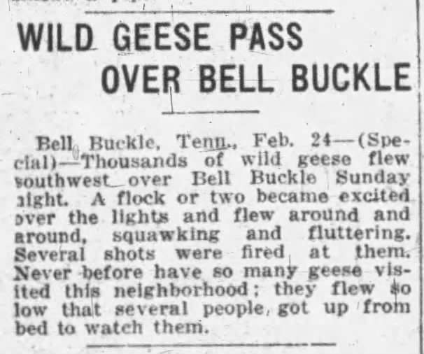 Critters of Bell Buckle Past